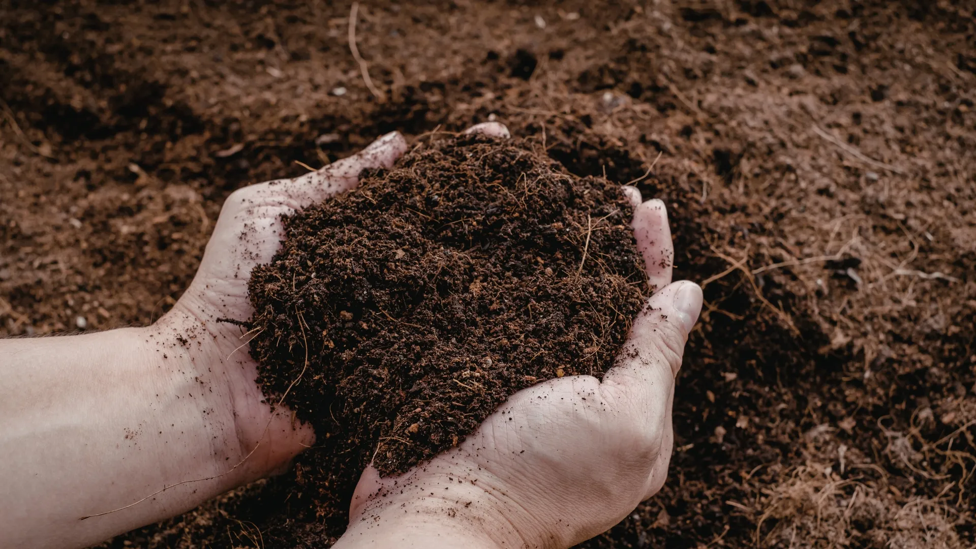 Fondo de campo verde BioGreen