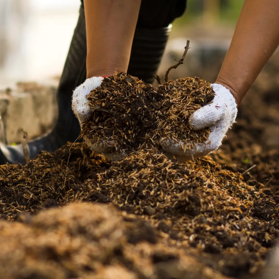 Trabajadores en planta de compostaje BioGreen