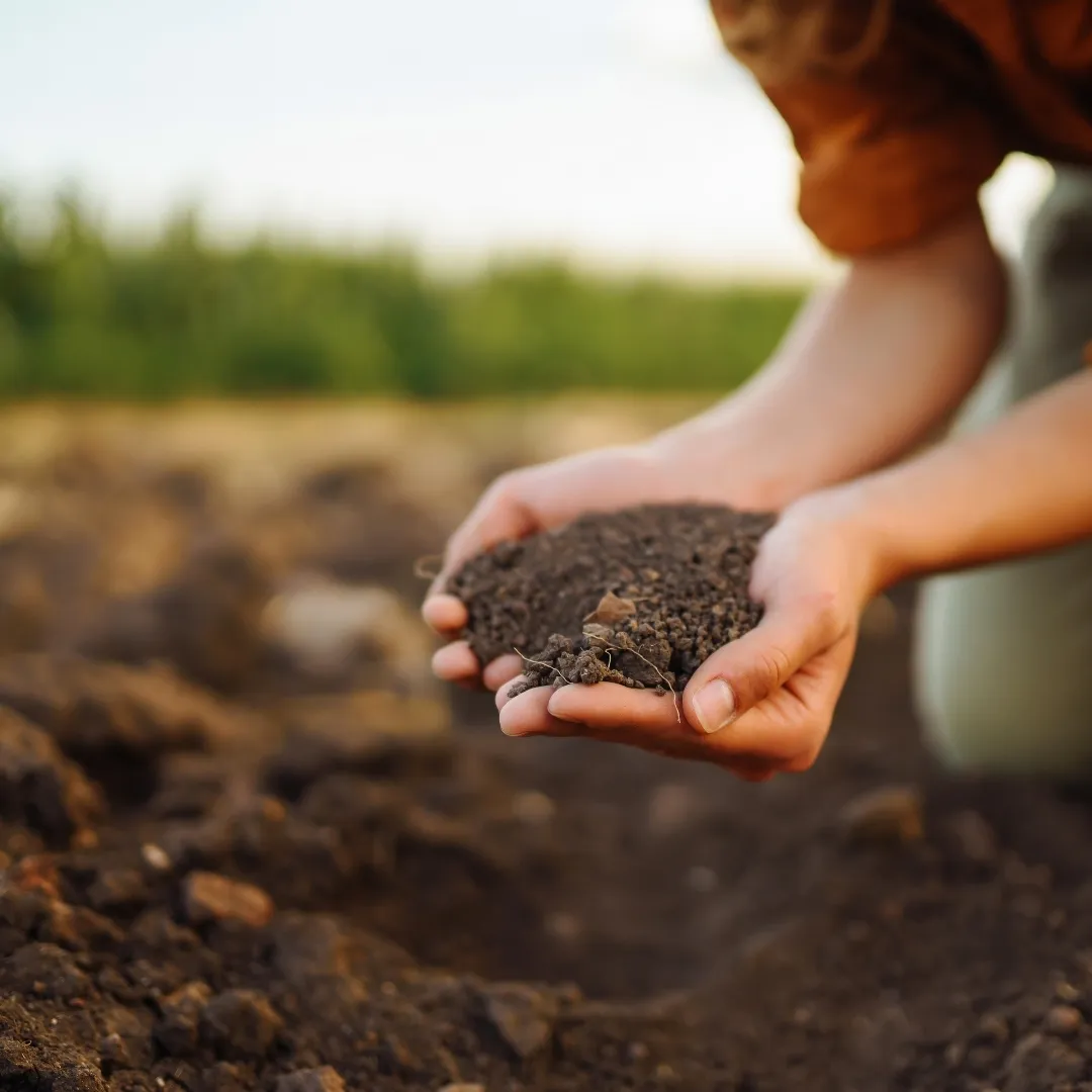 Saco de Compost BIOGREEN